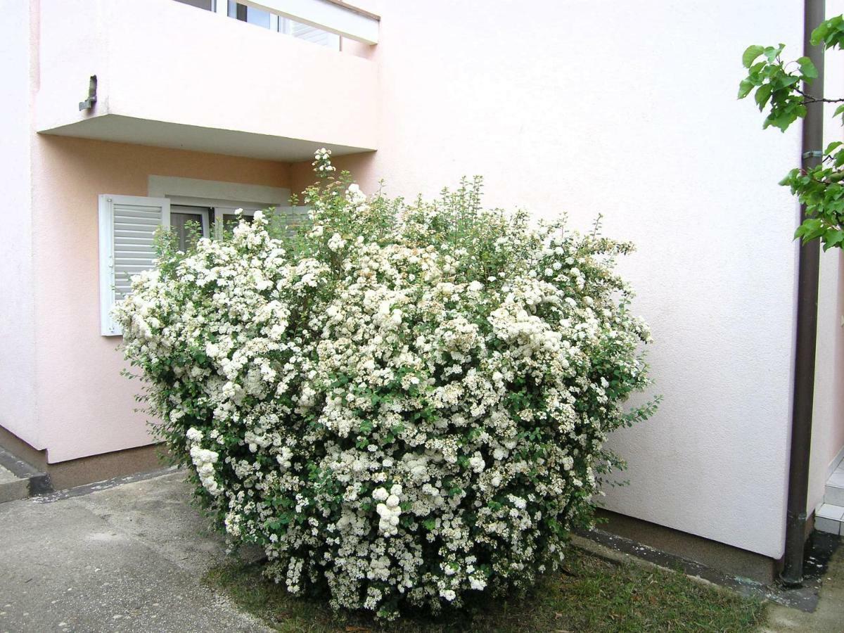 Apartments Sokolovic Krk Town Exterior foto